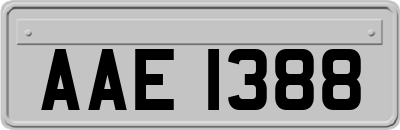 AAE1388