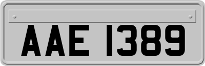 AAE1389