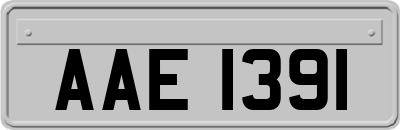 AAE1391