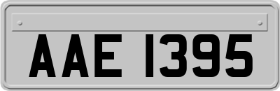 AAE1395