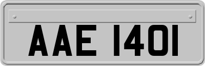 AAE1401