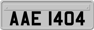 AAE1404