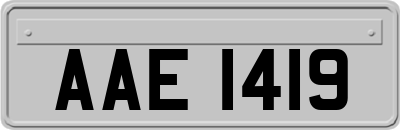 AAE1419
