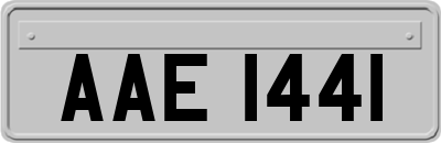 AAE1441