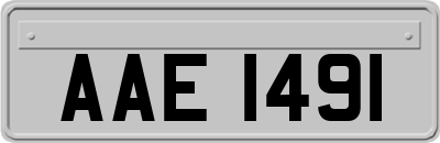 AAE1491