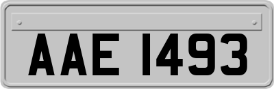 AAE1493