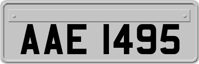 AAE1495