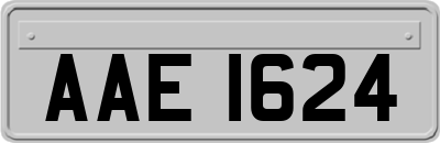 AAE1624