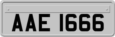 AAE1666