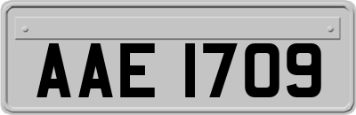 AAE1709