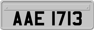 AAE1713