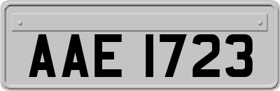 AAE1723