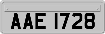 AAE1728