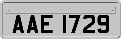 AAE1729