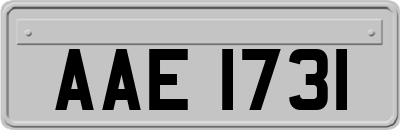 AAE1731
