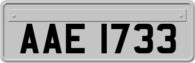 AAE1733