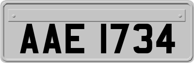 AAE1734