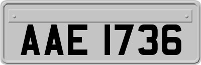 AAE1736