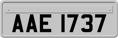 AAE1737