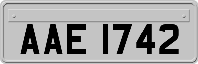 AAE1742