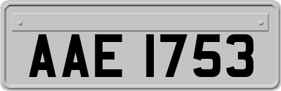 AAE1753