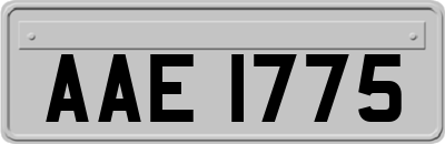 AAE1775