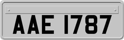 AAE1787