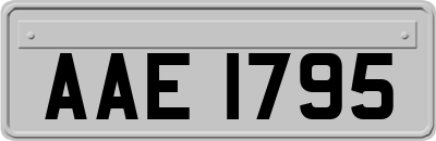 AAE1795