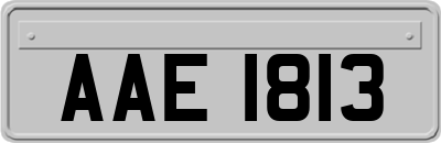 AAE1813