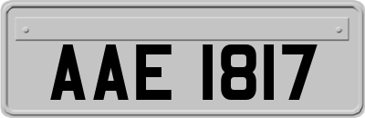 AAE1817