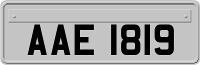 AAE1819