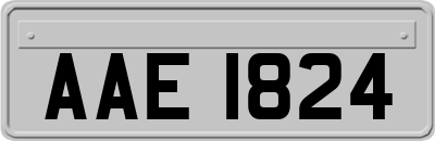 AAE1824