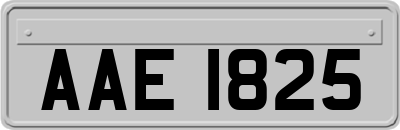 AAE1825