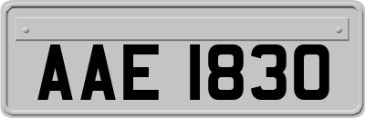 AAE1830