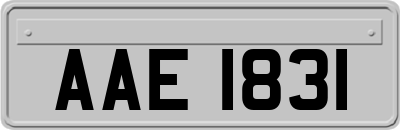 AAE1831