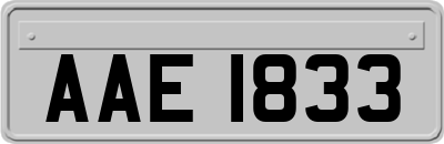 AAE1833
