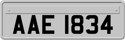 AAE1834