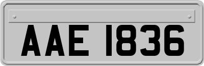 AAE1836