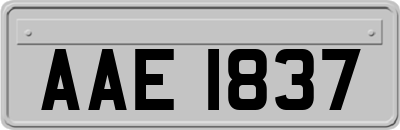 AAE1837