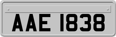 AAE1838