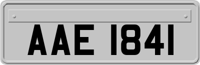 AAE1841