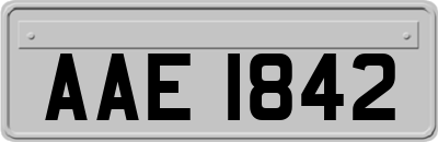 AAE1842