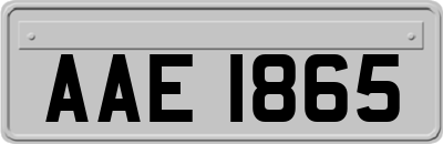 AAE1865