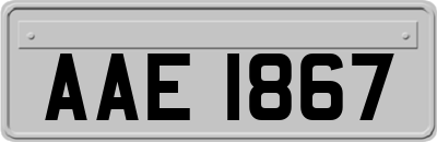 AAE1867