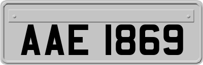 AAE1869