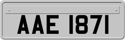 AAE1871