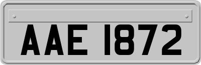 AAE1872