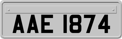 AAE1874