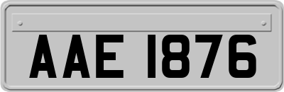 AAE1876