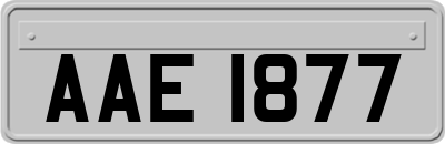 AAE1877